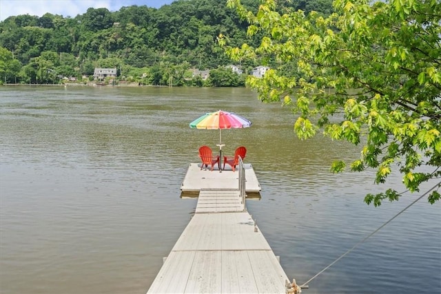 548 Penn St, Verona, PA 15147 - dock with a water view and a view of trees