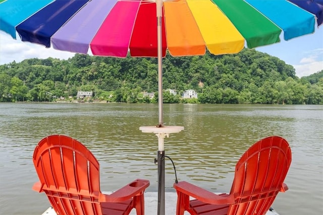 548 Penn St, Verona, PA 15147 - dock with a water view and a forest view