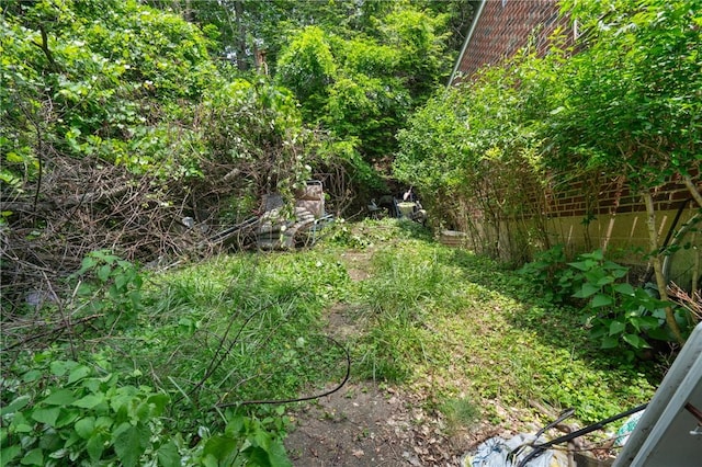 7901 Orlan Pl, Penn Hills, PA 15147 - view of yard