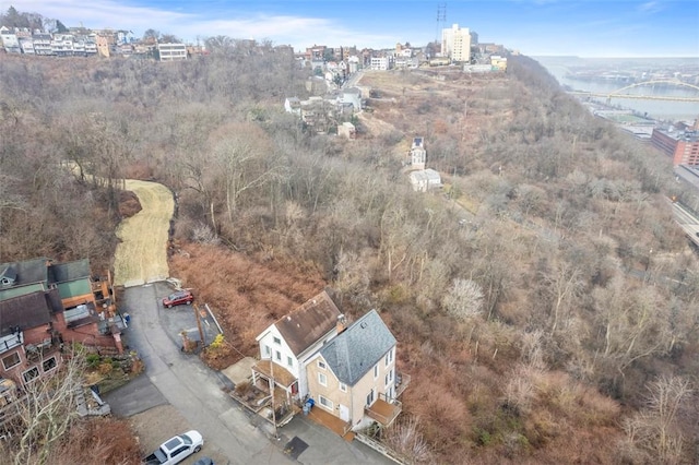 310 Cola St, Mt Washington, PA 15203 - aerial view of property and surrounding area featuring a notable bridge
