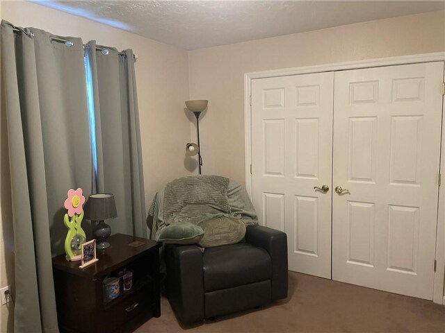 10240 Roseway Blvd, North Huntingdon, PA 15642 - sitting room with carpet flooring and a textured ceiling