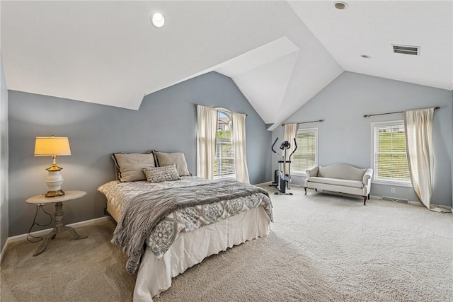 1041 Ashfield Way, Salem Twp Wml, PA 15601 - carpeted bedroom with multiple windows and lofted ceiling