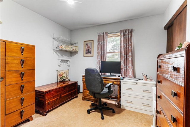 223 Horseshoe Dr, Adams Twp, PA 16046 - office featuring light colored carpet