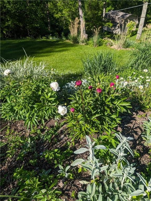 223 Horseshoe Dr, Adams Twp, PA 16046 - view of yard