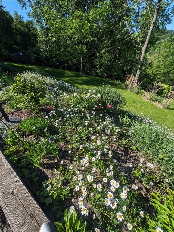 223 Horseshoe Dr, Adams Twp, PA 16046 - view of yard