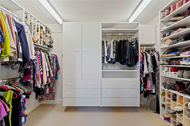 241 W Chapel Ridge Rd, Fox Chapel, PA 15238 - spacious closet featuring carpet flooring