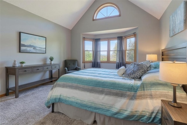 139 Village Dr, Cranberry Twp, PA 16066 - carpeted bedroom with high vaulted ceiling