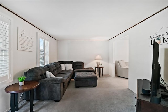 126 Penn Lear Dr, Monroeville, PA 15146 - view of carpeted living room