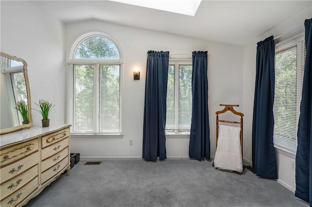 126 Penn Lear Dr, Monroeville, PA 15146 - carpeted bedroom featuring vaulted ceiling, multiple windows, and a skylight