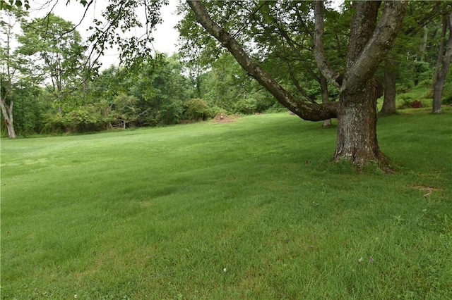 714 Colonial, Coolbaugh Twp, PA 15613 - view of green lawn