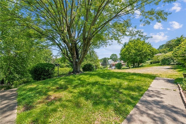 349 Mcgeary Ave, Monessen, PA 15062 - photo 23