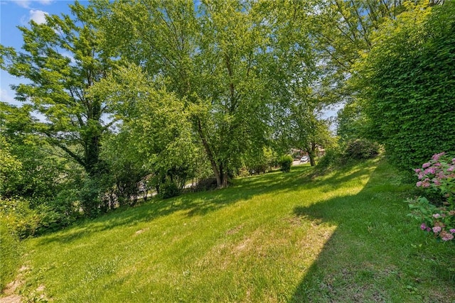 349 Mcgeary Ave, Monessen, PA 15062 - photo 24