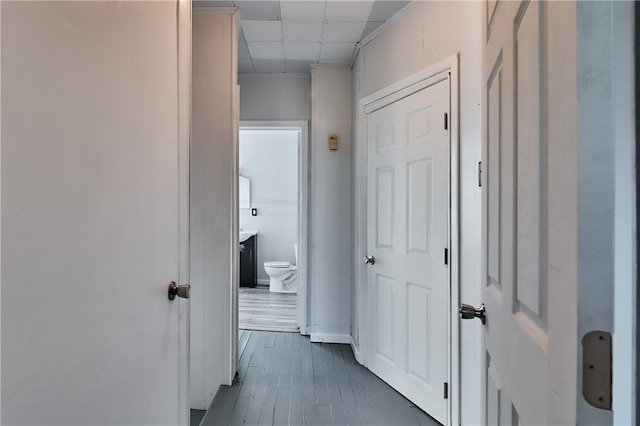 538 Maplewood Ave, Ambridge, PA 15003 - hall with dark wood-style flooring and a drop ceiling