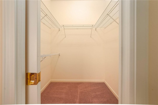 560 Madison Blvd, New Sewickley Twp, PA 15042 - spacious closet featuring carpet flooring