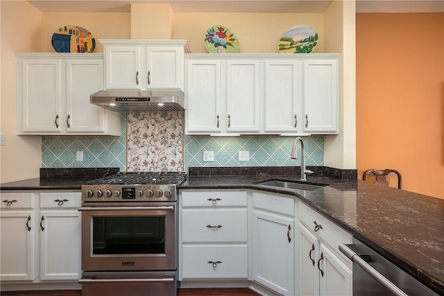 560 Madison Blvd, New Sewickley Twp, PA 15042 - kitchen with appliances with stainless steel finishes, under cabinet range hood, tasteful backsplash, and white cabinets