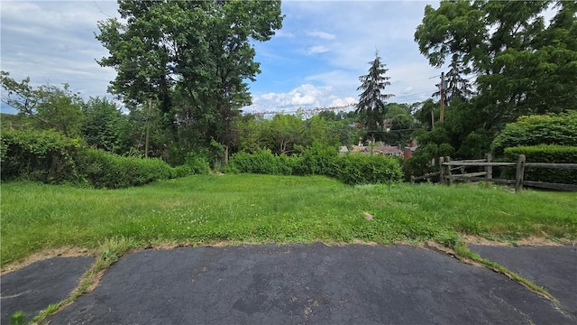 1016 Dallett Rd, Whitehall, PA 15227 - view of yard