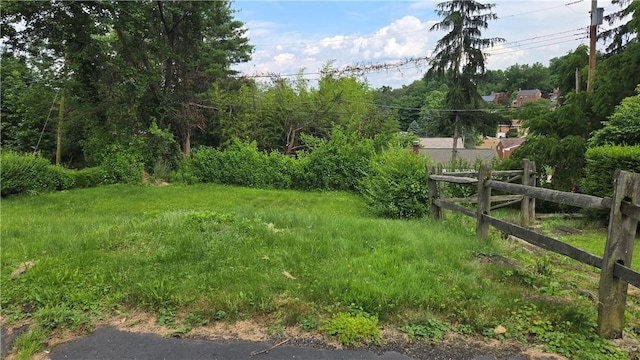 1016 Dallett Rd, Whitehall, PA 15227 - view of yard