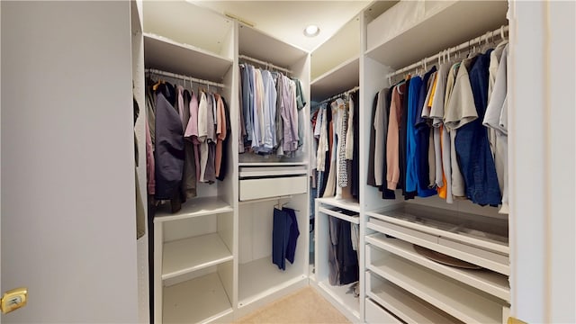 5445 Covode Pl, Squirrel Hill, PA 15217 - view of walk in closet