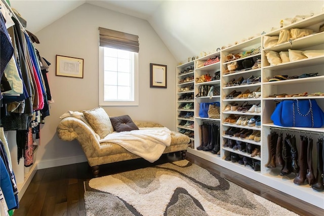 203 Ironwood Ct, Peters Twp, PA 15367 - walk in closet with hardwood / wood-style flooring and lofted ceiling