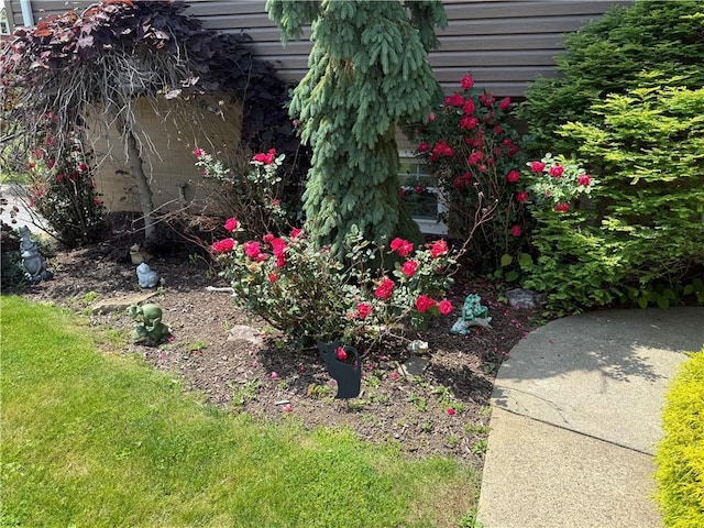 570 Hancock St, Cherryhll Twp/Clymer, PA 15728 - view of yard