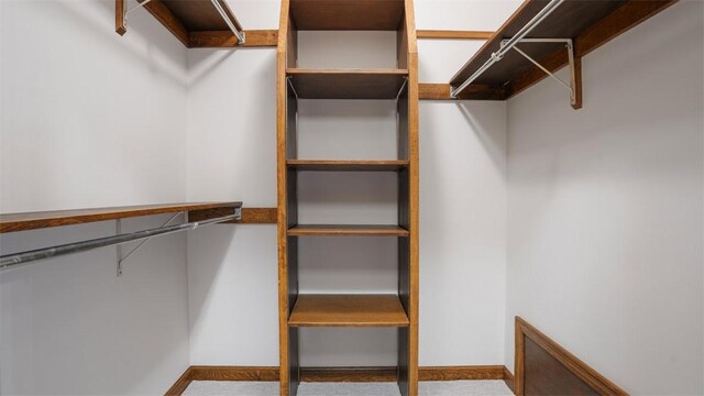 105 Bristol Sq, Ohara, PA 15238 - walk in closet with carpet flooring