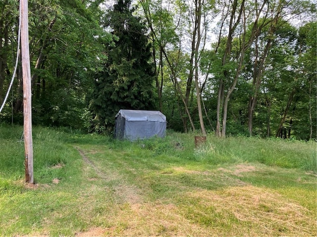 113 Filer Ln, Clay Twp, PA 16001 - view of yard