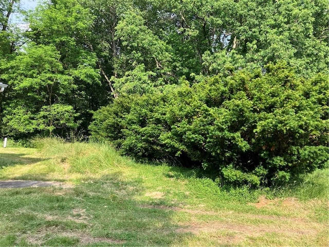 113 Filer Ln, Clay Twp, PA 16001 - view of undeveloped land