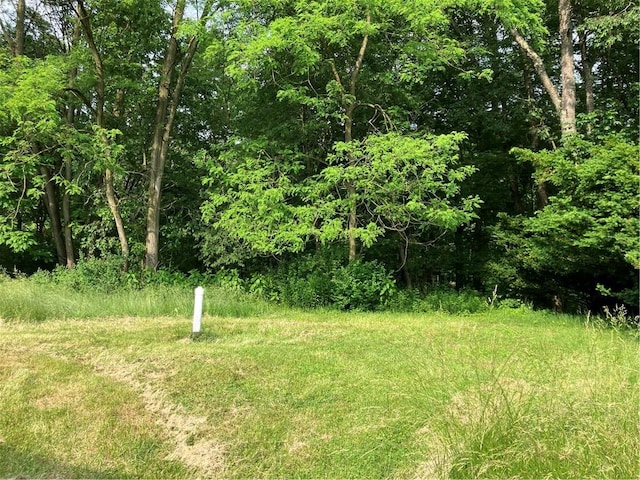 113 Filer Ln, Clay Twp, PA 16001 - view of local wilderness
