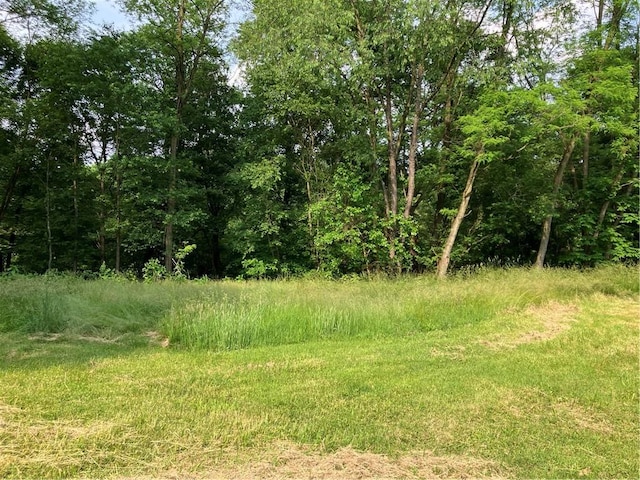 113 Filer Ln, Clay Twp, PA 16001 - view of nature
