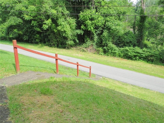 289 Sheridan Ln, Carmichaels/Cumblnd, PA 15351 - view of street
