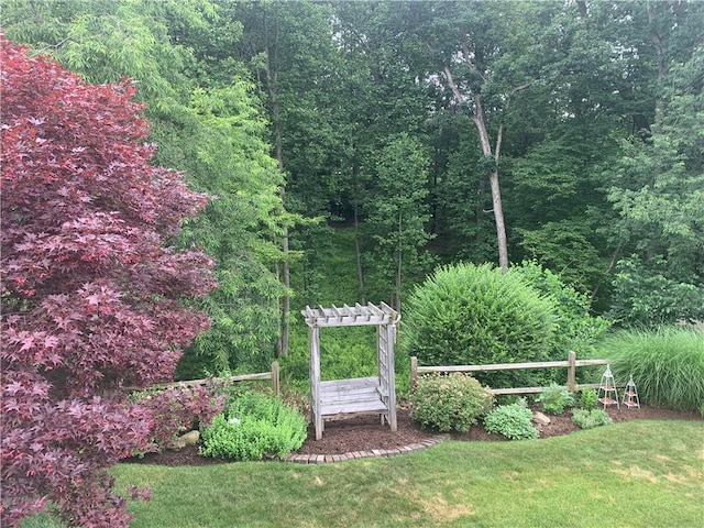 111 Brandywine Dr, Manor, PA 15642 - view of grassy yard with a forest view