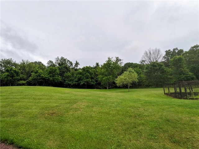 350 American Legion Rd, Unity Twp, PA 15650 - view of green lawn featuring a view of trees