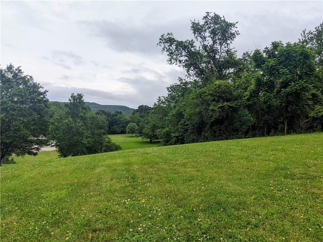 350 American Legion Rd, Unity Twp, PA 15650 - view of green lawn