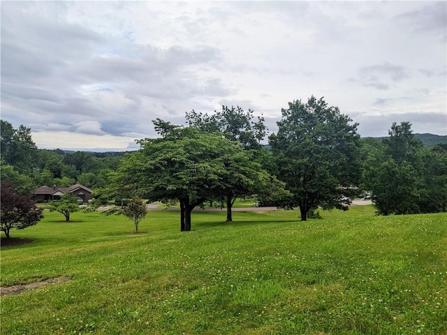 350 American Legion Rd, Unity Twp, PA 15650 - view of grassy yard