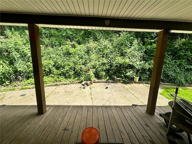 105 Fern Way, Glassport, PA 15045 - view of deck