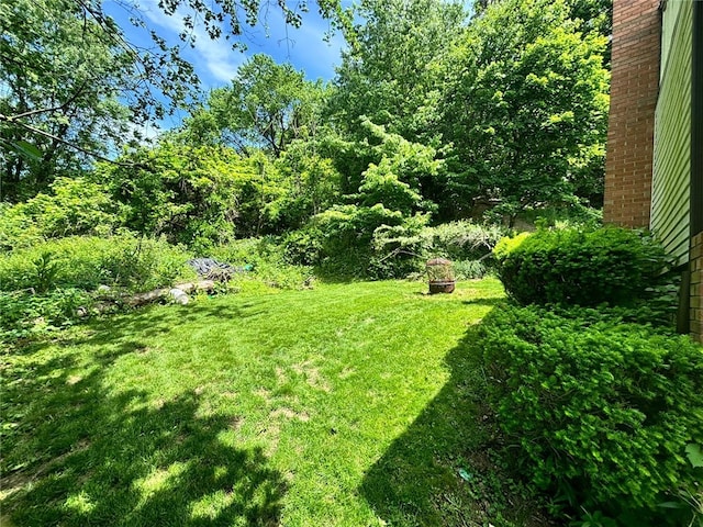 105 Fern Way, Glassport, PA 15045 - view of grassy yard