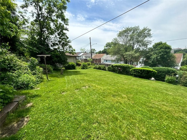 105 Fern Way, Glassport, PA 15045 - view of green lawn