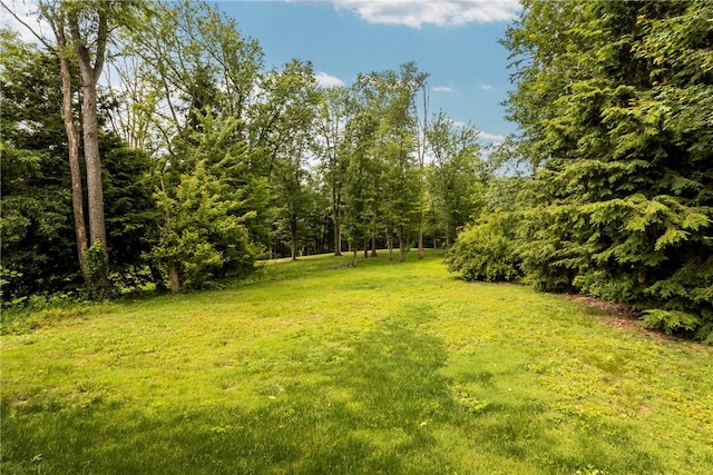 4 Pleasant Grove Dr, Patterson Heights, PA 15010 - view of green lawn
