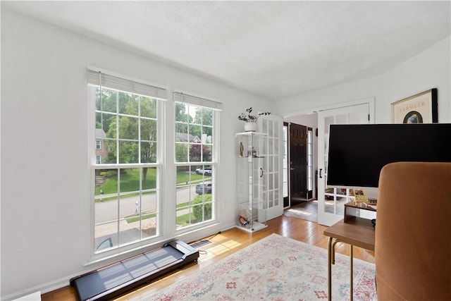 317 Shady Glen Dr, Moon/Crescent Twp, PA 15108 - office area featuring wood finished floors and french doors