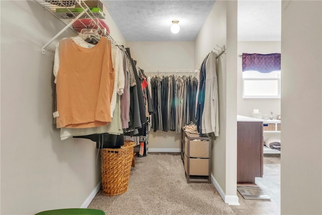 201 Millstream Ln, Zelienople Boro, PA 16063 - spacious closet with light colored carpet