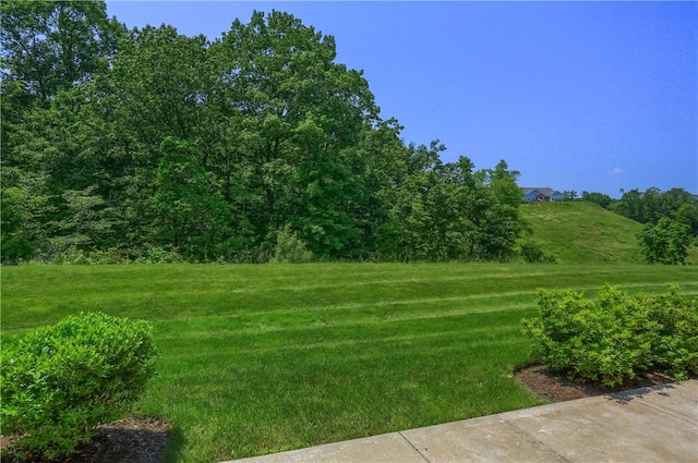 705 Spring Valley Dr, Jackson Twp, PA 16063 - view of green lawn