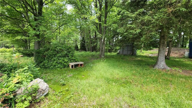 316 Susquehanna St, Boswell Boro, PA 15531 - photo 40
