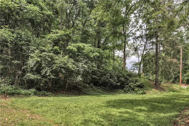 840 Robb Hollow Rd, Mt Lebanon, PA 15243 - photo 31