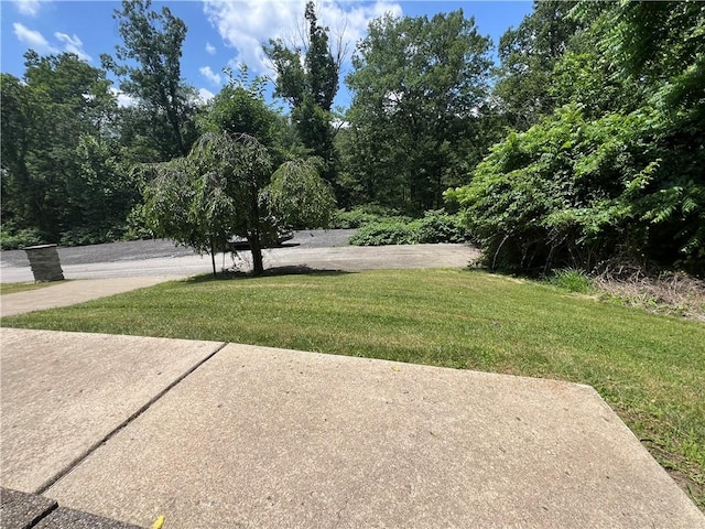 742 King St, Mckeesport, PA 15132 - photo 3