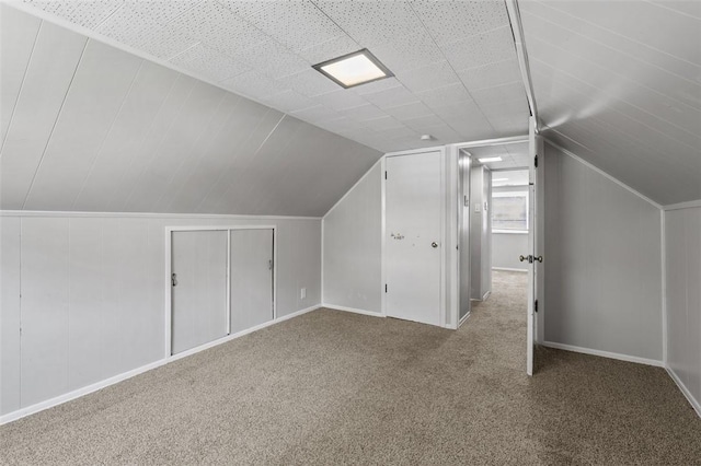 301 Pennview Dr, Penn Hills, PA 15235 - additional living space with carpet flooring, vaulted ceiling, and a decorative wall