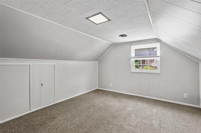301 Pennview Dr, Penn Hills, PA 15235 - bonus room featuring carpet and vaulted ceiling