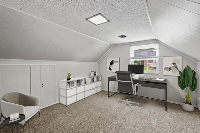301 Pennview Dr, Penn Hills, PA 15235 - office space with carpet flooring and vaulted ceiling