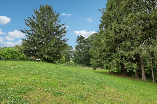 105 Becks Run Rd, Moon/Crescent Twp, PA 15108 - view of green lawn