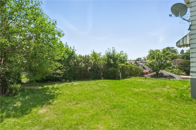 3937 Davis Ave, Munhall, PA 15120 - view of green lawn