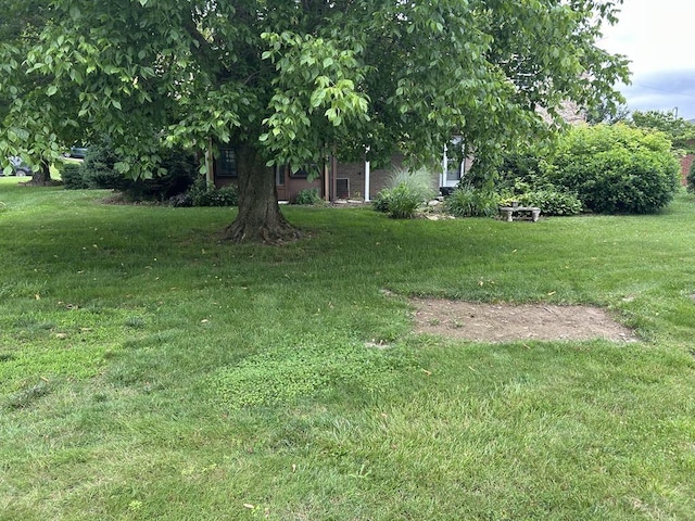 307 Debora Dr, Latrobe, PA 15650 - view of grassy yard